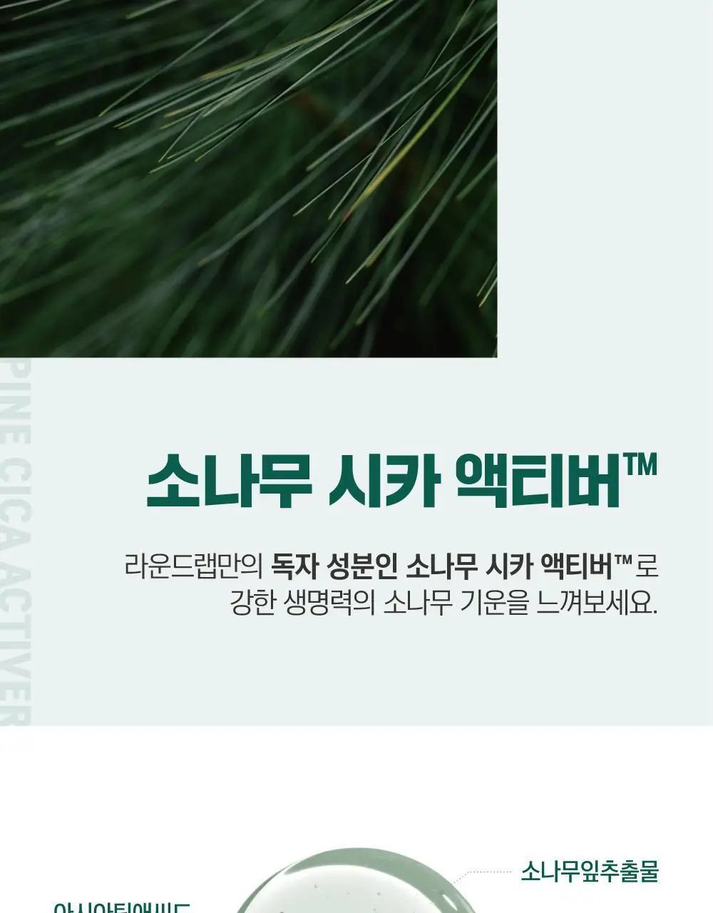 [미백/집중진정] 라운드랩 소나무 진정 시카 바디 미스트 150ml 상세페이지 12